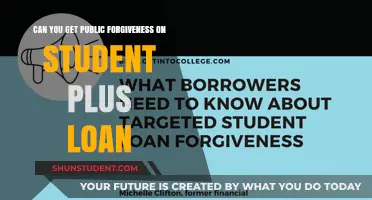 Seeking Public Forgiveness for Student Plus Loans: Is It Possible?