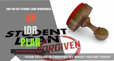 Can You Achieve Student Loan Forgiveness on an IDR Plan?
