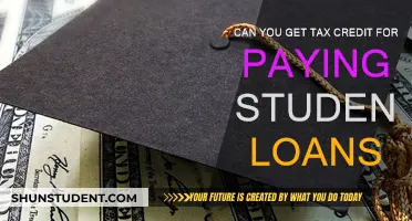 Student Loan Tax Credits: What You Need to Know