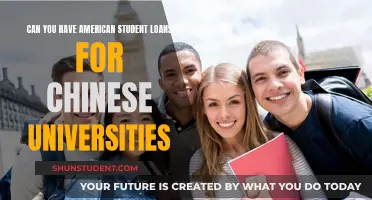 Student Loans for Chinese Universities: An Option for Americans?