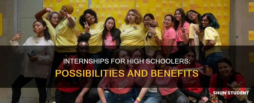 can you intern as a highschool student