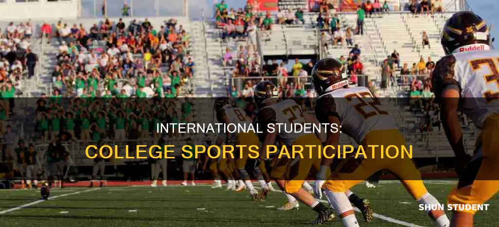 can you join sports in college as an international student