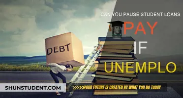 Unemployed with Student Loans? Know Your Options