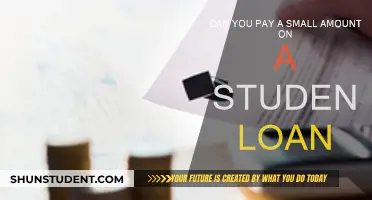 Student Loans: Strategies for Small Repayments