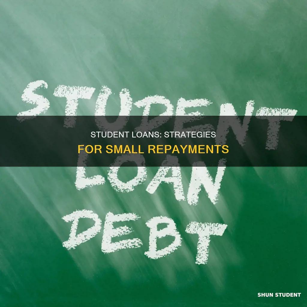 can you pay a small amount on a student loan