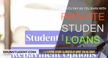 Paying Private Student Loans: Can You Pay As You Earn?