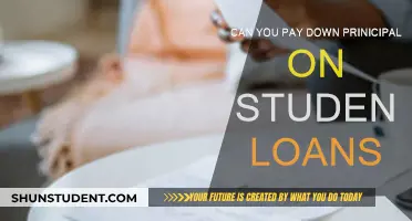 Strategies to Reduce Student Loan Principal