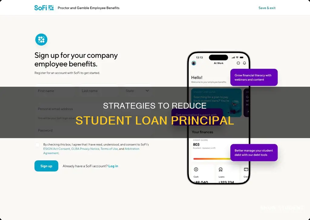 can you pay down prinicipal on student loans
