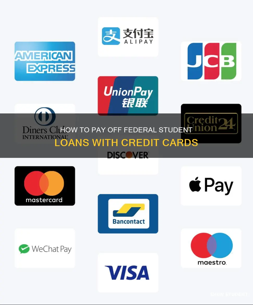 can you pay federal student loans with a credit card