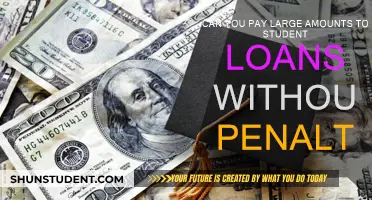 Student Loan Prepayment: Penalty or Freedom?
