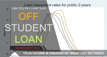How to Pay Off Student Loans with a Lump Sum