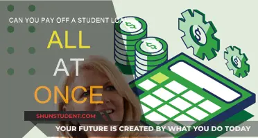 Student Loan Strategies: One-Time Payment Options