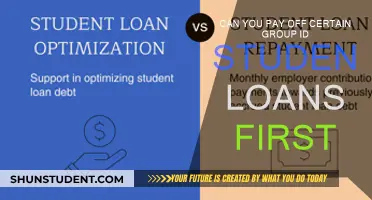 Targeted Student Loan Repayment: Can You Focus on Specific Loans?