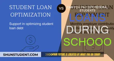 Should You Pay Off Student Loans While in School?
