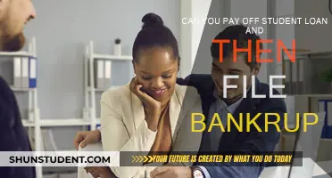 Student Loan Bankruptcy: Can You File After Paying Off Debt?