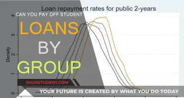 Pooling Resources: Paying Off Student Loans Together