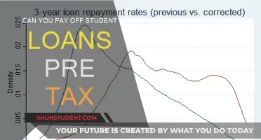 Student Loan Pre-Tax Payment Strategies