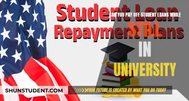 How to Repay Student Loans While in University