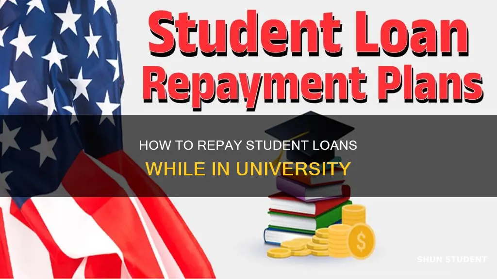 can you pay off student loans while still in university
