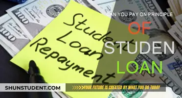 Student Loan Payment Strategies: Principal First