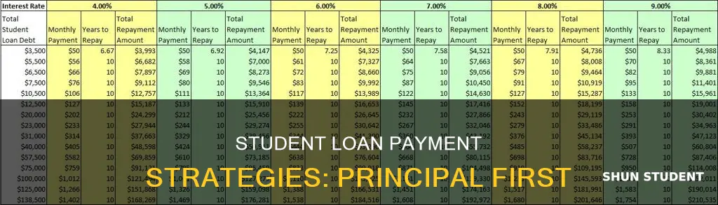 can you pay on principle of student loan