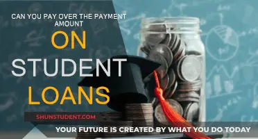 Student Loans: Paying More Than the Minimum