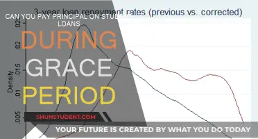 Paying Off Student Loans: Principal Payments During Grace Periods