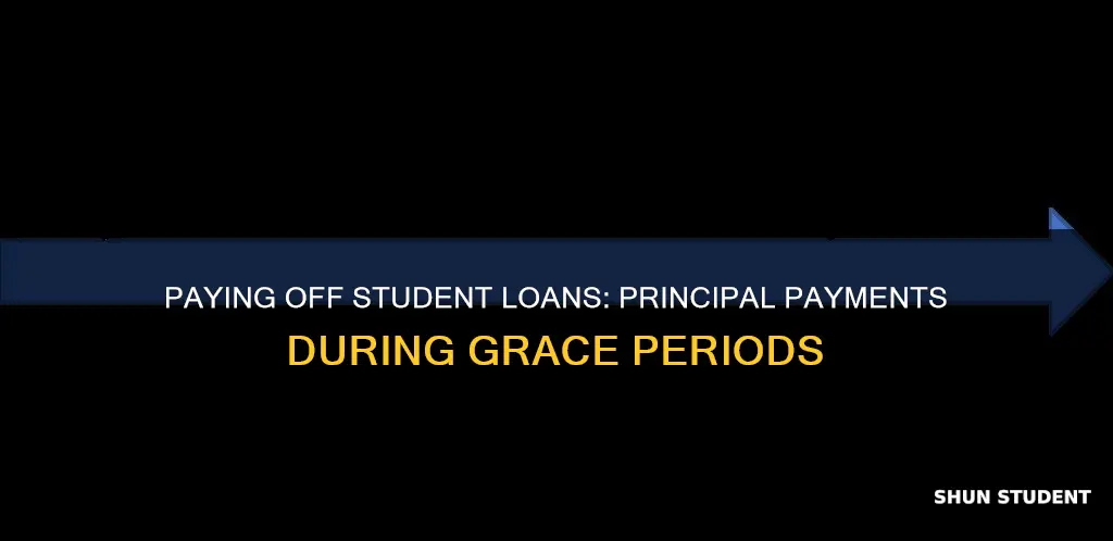 can you pay principal on student loans during grace period