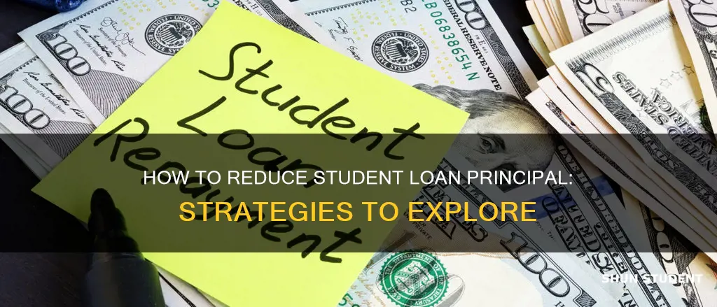 can you pay principal on student loans