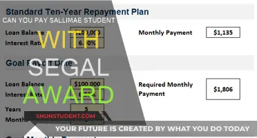 Segal Award: Can You Pay Sallimae Student Loans?