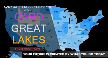 Student Loan Payment Options: Credit Card Strategies