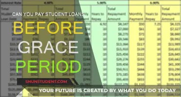 Student Loan Grace Period: Prepayment Possibilities?