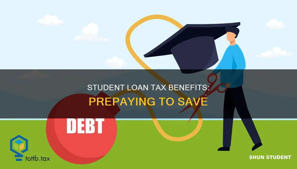 can you pay student loans before taxes