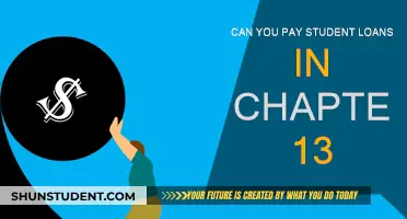 Student Loans: Chapter 13 Payment Options