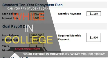 Student Loans: Repayment Strategies for College Students