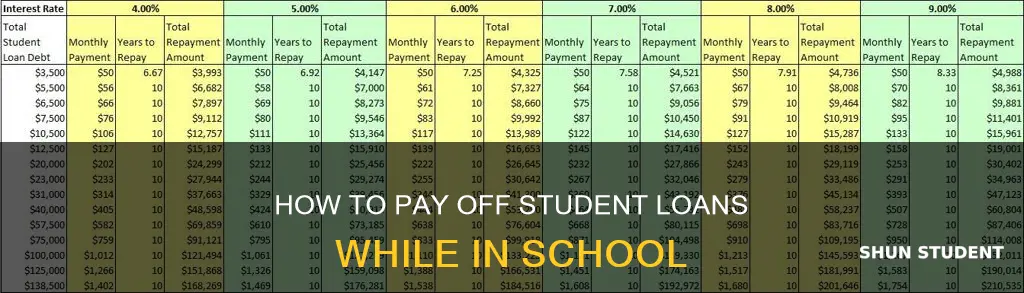 can you pay student loans while youre in schoil