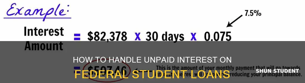 can you pay unpaid interest on federal student loans