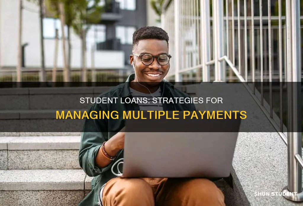 can you pay with 2 student loans