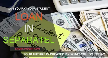Student Loan Payment Strategies: Splitting Payments