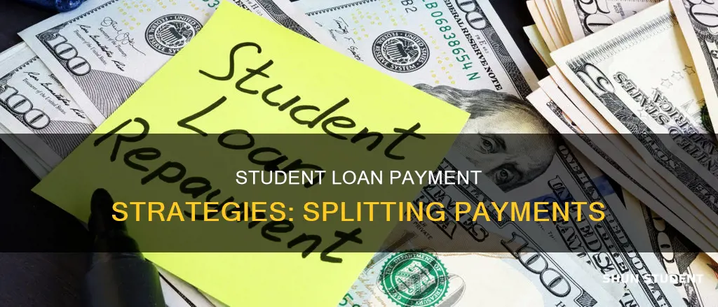can you pay your student loan in separately