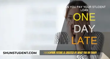 Late Student Loan Payment: What You Need to Know