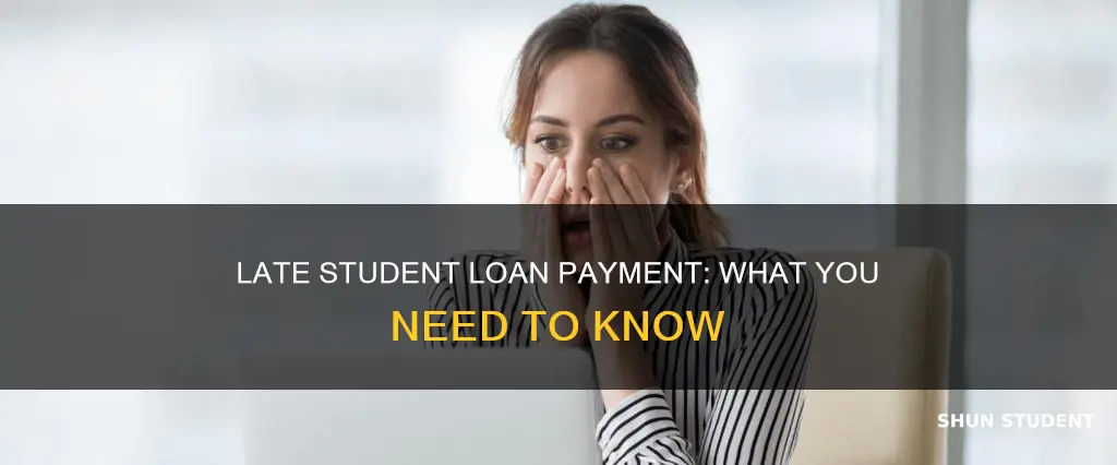 can you pay your student loan one day late