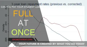 Student Loans: One-Time Payment Option