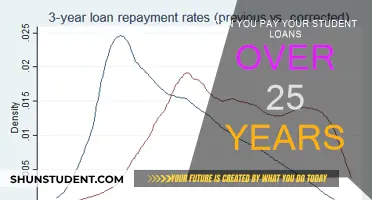 Student Loans: Repayment Options for the Long Haul