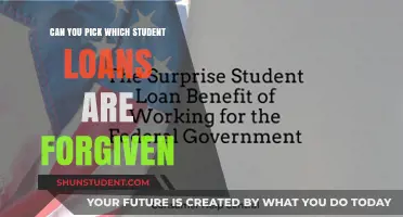 Navigating Student Loan Forgiveness: Which Loans Qualify for Cancellation?