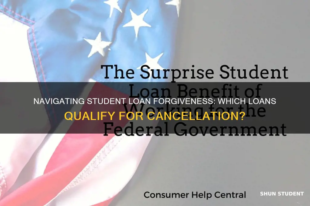can you pick which student loans are forgiven