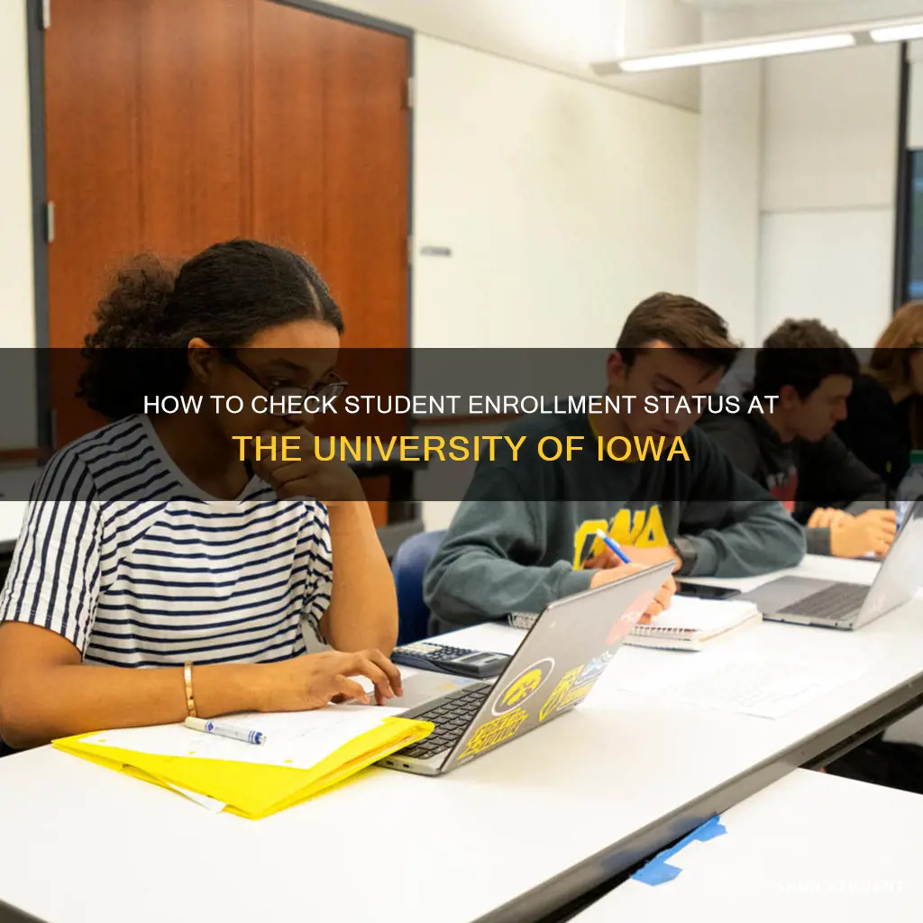 can you see active student at university of iowa