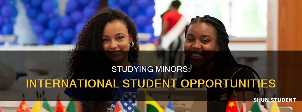 can you study a minor as an international student