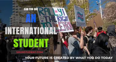 Suing International Students: Is It Possible?