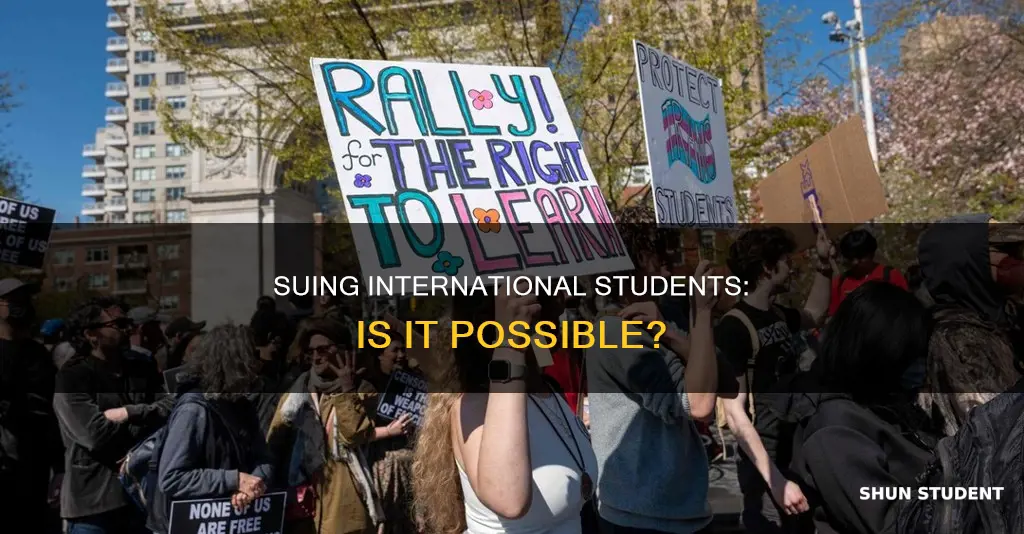 can you sue an international student